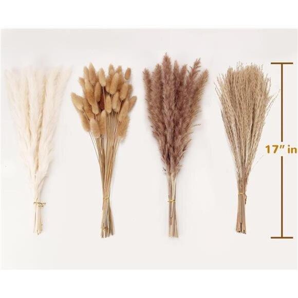 Dried Pampas Grass Decor, 100 Stems Pampas Grass Contains Bunny Tails Dried - Picture 3 of 8